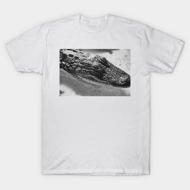 black and white alligator 2 T-Shirt by KensLensDesigns